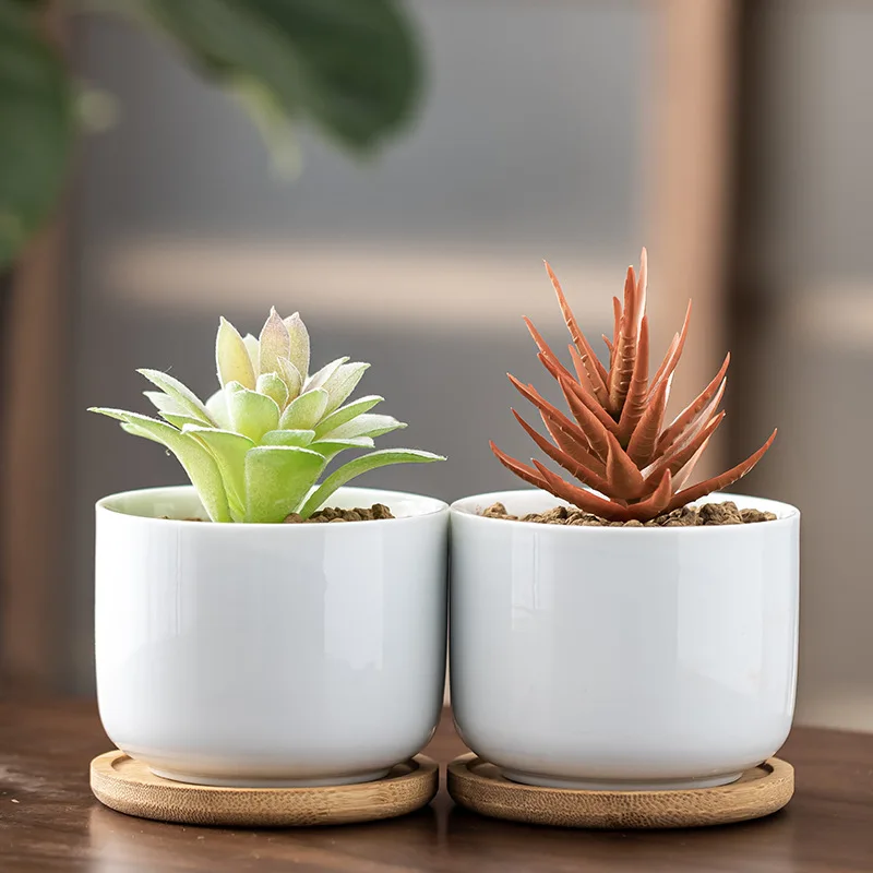 

Mini Porcelain Planter with Drainage Hole White Garden Pots with Bamboo Tray, Modern Decor for Home Office (Plants NOT Included)