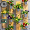 DIY solar irrigation, with a 15 meter hose garden watering system, garden balcony greenhouse drip irrigation system 6