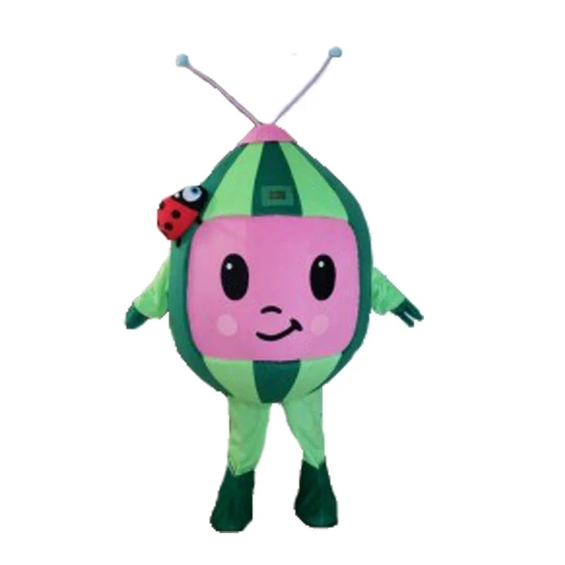 

Watermelon Fruit Mascot Clothing Adult Fancy Dress Store Activity Performance