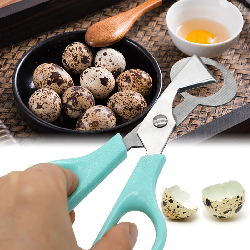 5/10Pcs Stainless Steel Bird Quail Egg Shell Scissors Durable Multifunction Kitchen Tools  Cigar Cutters Rust Resistant 4