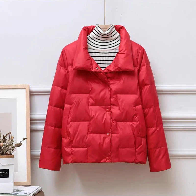 Light Weight Down Cottn Jacket Women 2023 Solid Colors Autumn Winter Coat Long Sleeve Plus Size Warm Stand Collar Casual Parkas