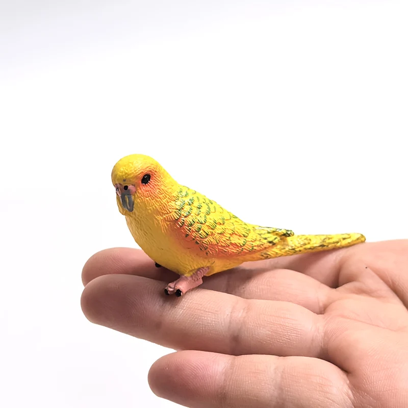 Mini süße simulierte Papagei Kinder Ornament Spielzeug Tier Modell PVC Kunststoff Handwerk Ornament Zoo künstliche Vogel Statue Hause – Detail 19