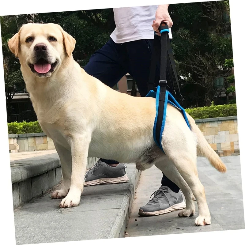 Dog Support Harness for Old Dogs with Back Legs Issues