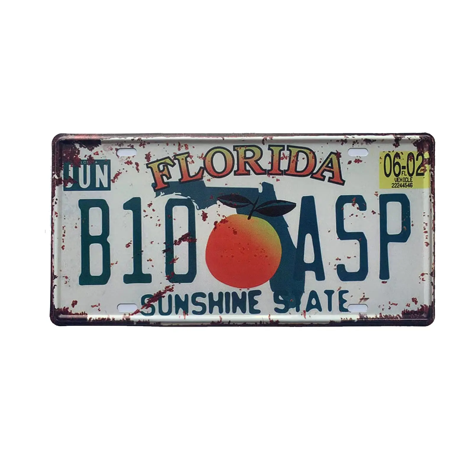 

Florida Vintage License Plates American Auto Metal FL License Plates Vintage Rusty Logo Novelty License Plates