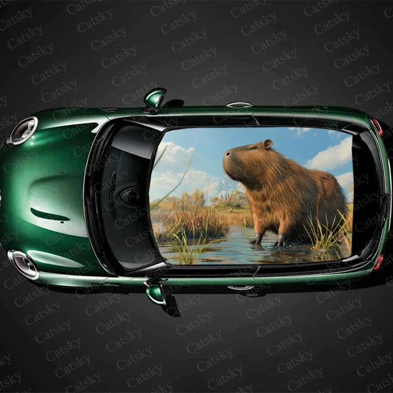 

Милые животные, капибара, фотопленка, аксессуары для гоночных кроссоверов, упаковка, окрашенная ПВХ, пользовательская графическая наклейка для автомобиля