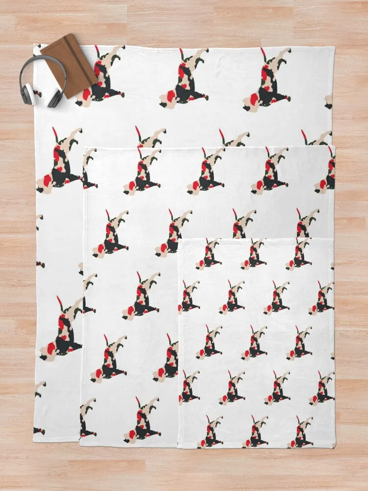 �Ƹ޸�ĭ �븮 ���� ���� ������ ���, ���Ÿ� �����̳�, ���� ū ���