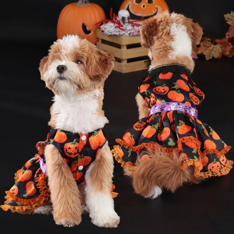 Robe d’Halloween pour Chihuahua - Costume Citrouille - 2025 - Vêtement et accessoires pour chiens - Doglovedesign