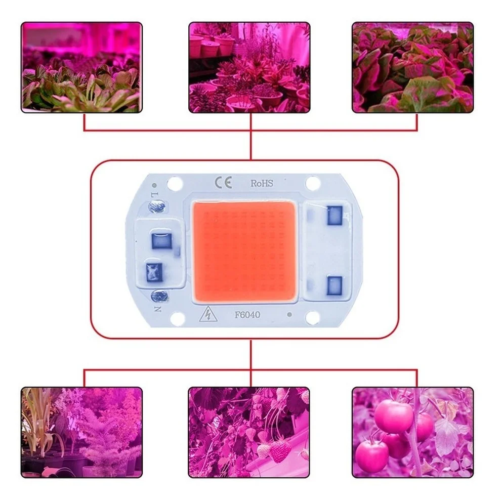 LED Grow Light Grow Light COB Led Grow Light Lamp Chip Full Spectrum 220V 110V 20W 30W 50W 380-780nm Phyto Lamp For Indoor Plant Seedling Flower Fitolampy