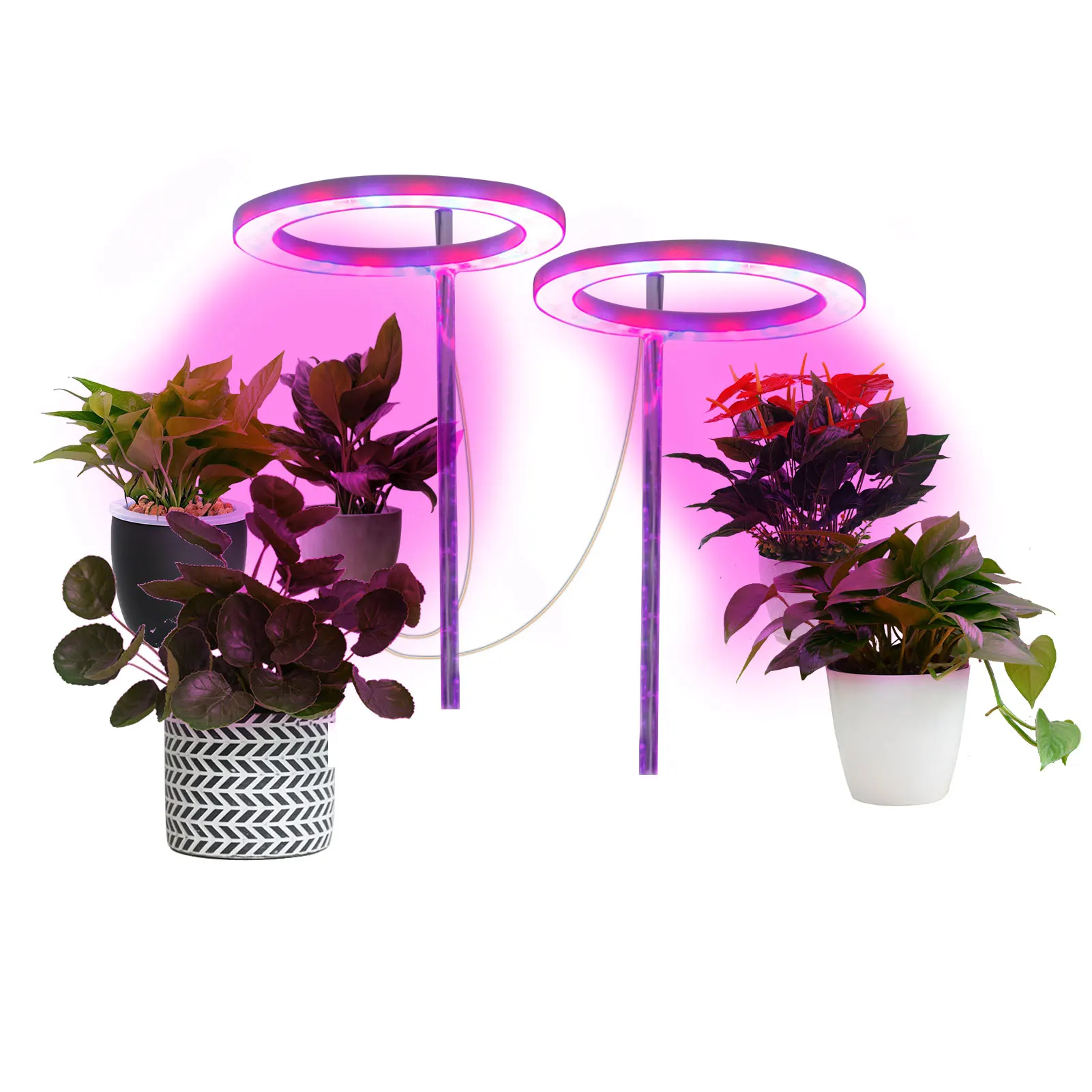 Small Grow Light Led Mini Desk Grow Lamp Grow Lights For Indoor Plants