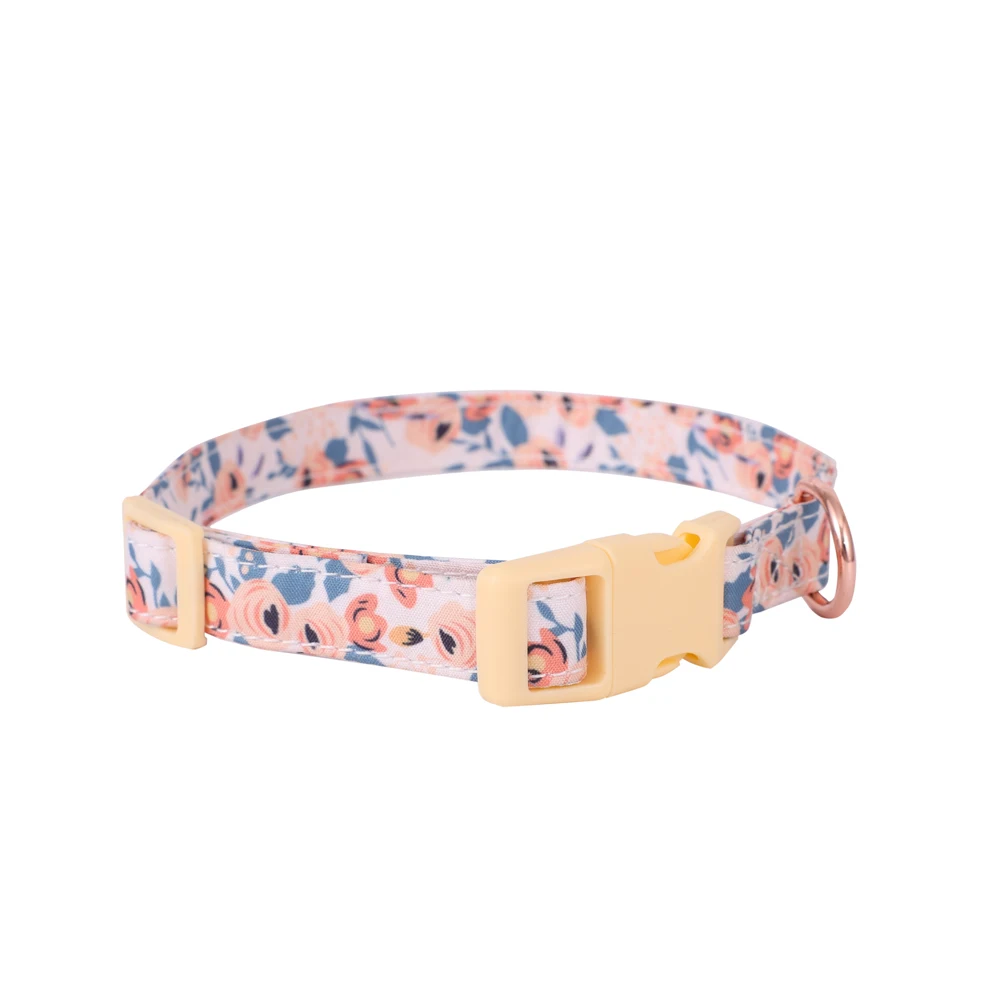Orange collar