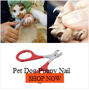 Cats Chew Toy Natural Catnip Matatabi Actinidia Silvervine Cleaning Teeth Toy Cat Snacks Sticks Remove Cat Tartar Home Toys