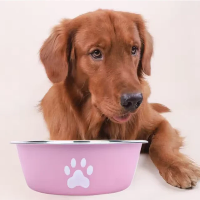 Large capacity stainless steel dog bowl anti-slip anti-rust dog water bowl pet feeder double-layer cat bowl suitable for puppies 2
