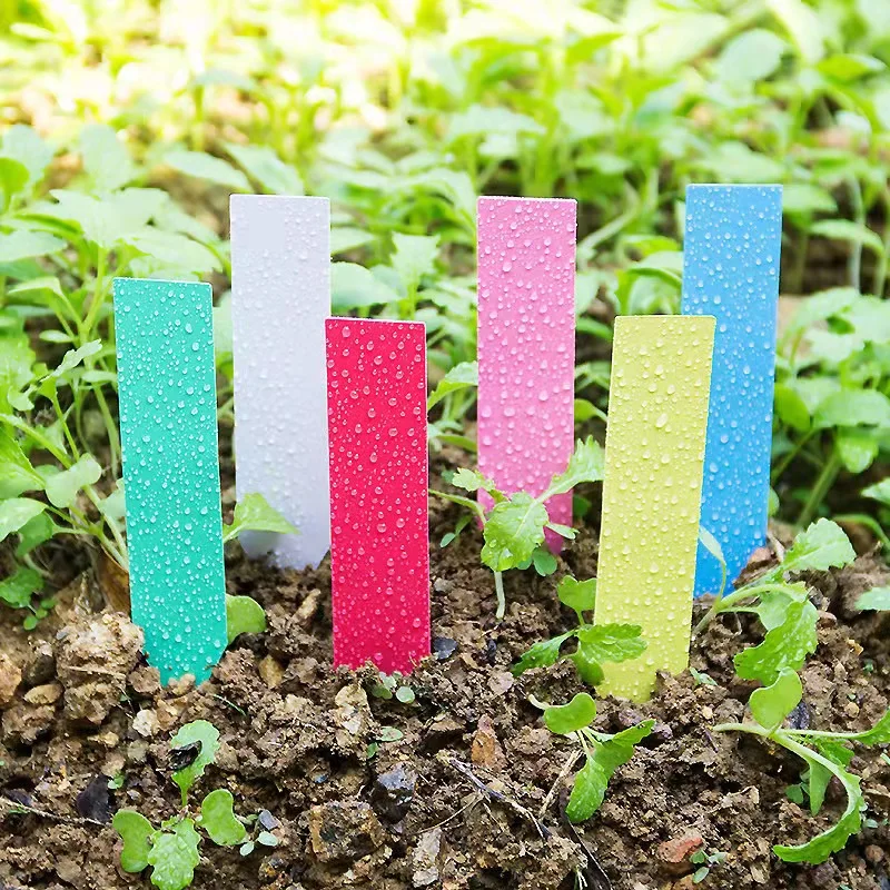100Pcs Garden Plant Labels Plastic Plant Tags Nursery Markers Flower Pots Seedling Labels Tray Mark Tools plant tags