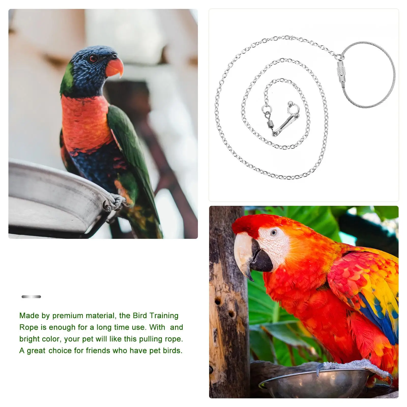 Stainless Steel Bird Chain Pet Chicken Harness Parrot Leash Cage Accessories for Parakeets Fly Train
