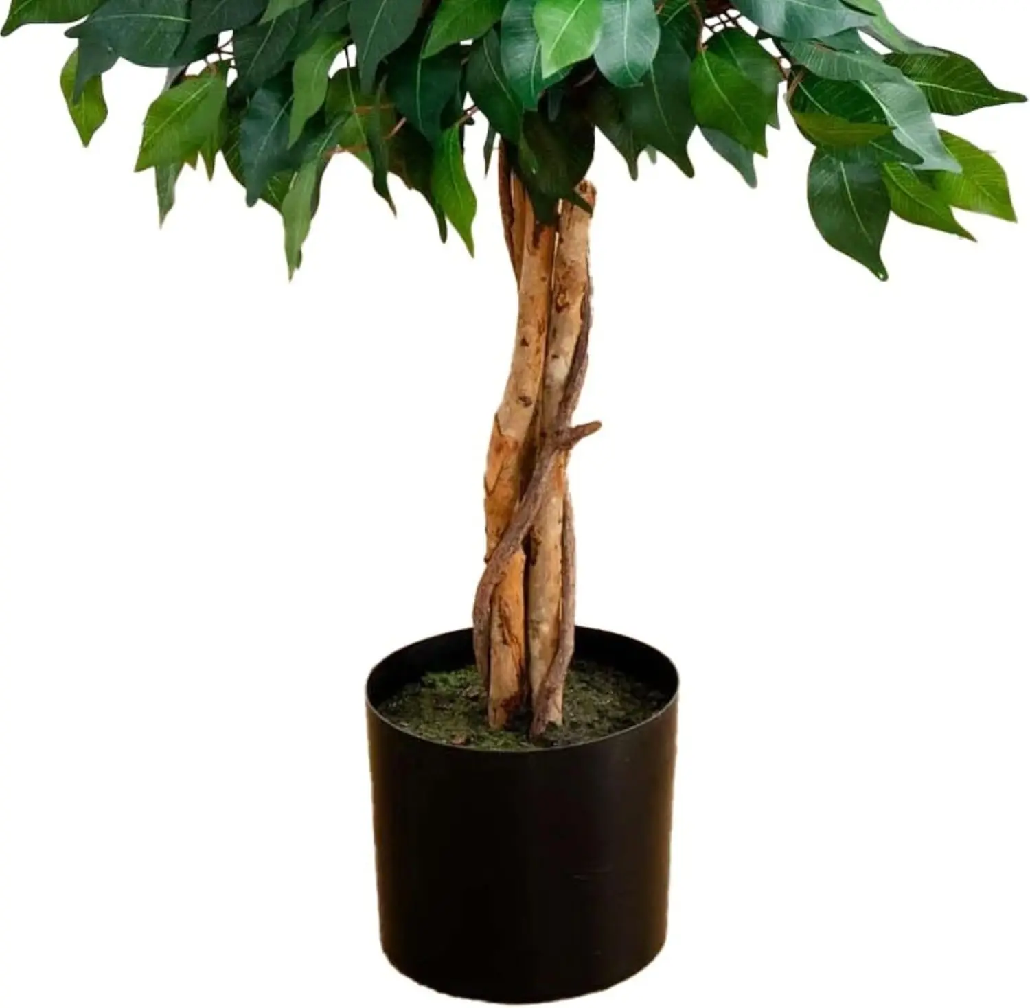 4FT Triple Trunk Artificial Ficus Tree 5