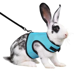 Colorful Breathable Vest Pet Carrier Bag with Adjustable Soft Harness and Elastic Leash Set - S (Navy Blue)