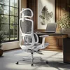 E2 Ergonomic Office Chair, 6-Way Dynamic Lumbar Support, 3D Adjustable Armrests, 3D Adjustable Headrest, Office Chair 1