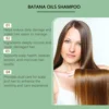Batana Oil Shampoo Hair Strengthens Anti Loss Restore Damaged Split Hair Scalp Cleansing Dandruff Control Hair Growth Shampoo 5