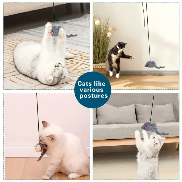 Door Hanging Cat Toy Stress Relieve Living OmDoor Hanging Toy for Living Room Hanging Kitten 2