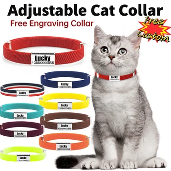 Personalized Cat & Dog Collar 1
