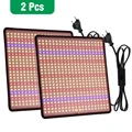 2pcs