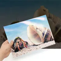 50 Pcs Printing Paper Picture for Printer White Double Side Photo Glossy Coated 6