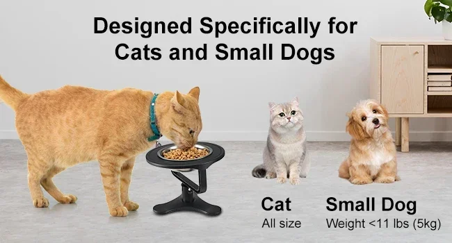cat bowls