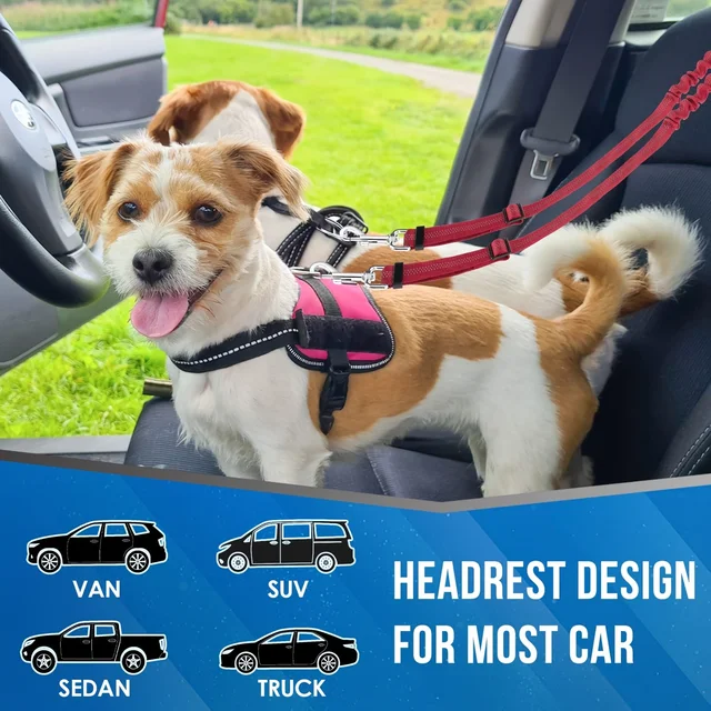 1Pcs Pet Dog Seat Belt Car Supplies Dog Cat Car Fixed Dog Chain Buffer Traction Car Safety Rope One Belt Two Dog Leash 4