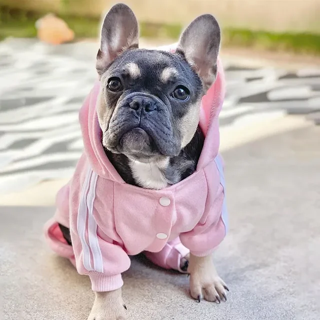 S300ec93908a149df9432cb514ec7016eK.jpg Pet Clothes French Bulldog Puppy Dog Costume Pet Jumpsuit Chihuahua Pug Pets Dogs Clothing for Small Medium Dogs Puppy Outfit