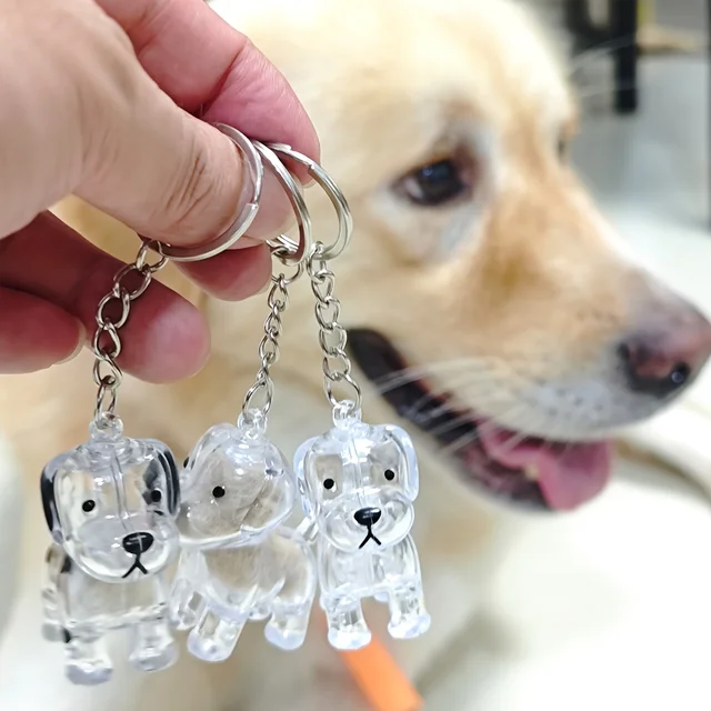 Conteneur Transparent de stockage de poils de chien, Adorable pendentif de Capsule de souvenir d'animal de compagnie avec porte-clés pour les amoureux des animaux de compagnie, porte-clés commémoratif DIY 4 Conteneur Transparent de stockage de poils de chien, Adorable pendentif de Capsule de souvenir d'animal de compagnie avec porte-clés pour les amoureux des animaux de compagnie, porte-clés commémoratif DIY 4