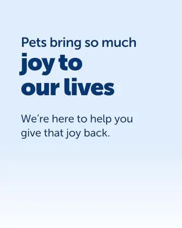 Pets bring so much joy