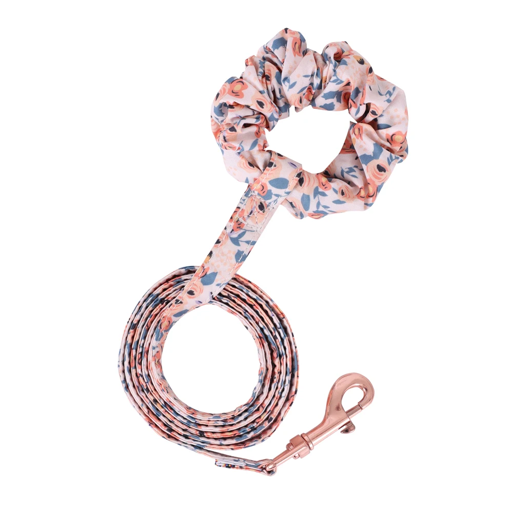 Orange leash