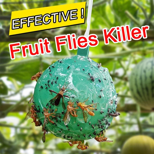 Függő Légycsapdás Golyó Gyümölcsliszta Fogó Ragacsos Csapdák Orchard Fa Ragadós Lógó Gyümölcshibához A Növényi Darázs -Ellenőrzéshez - Image 5