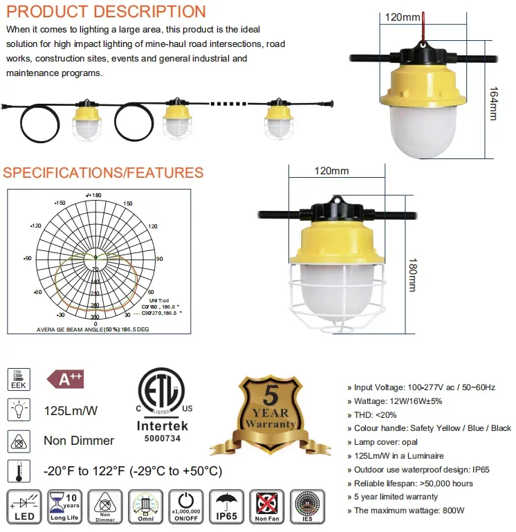 ETL Approved Outdoor 100watt LED String Light Linkable Portable Work Light