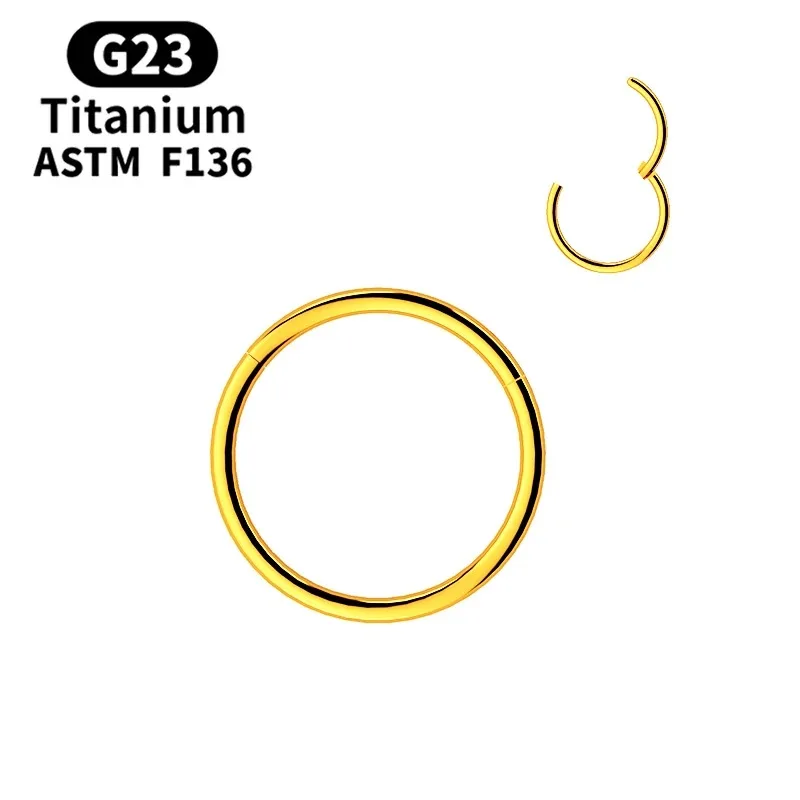 G23 Titanium Hinged Nose Ring - Detail View