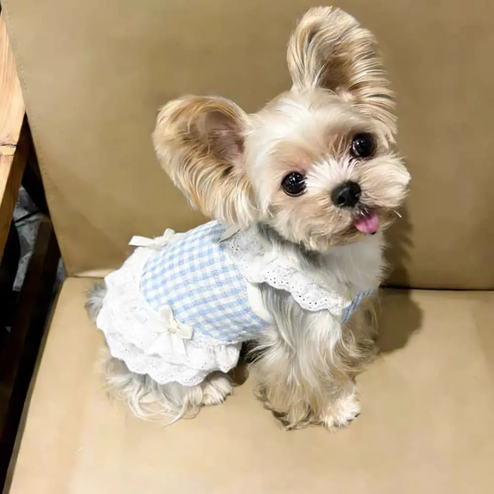 귀여운 리본 레이스 디자인 애완견 및 고양이 체크무늬 옷 통기성 좋은 편안한 고양이 조끼 가벼운 소형견 조끼