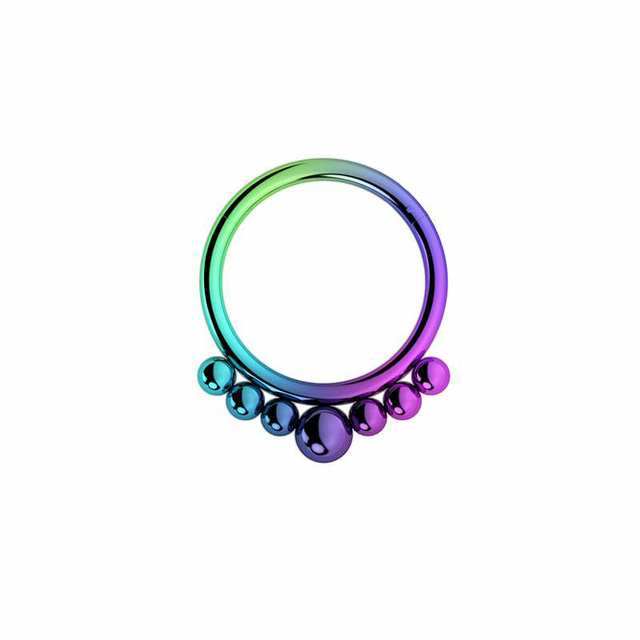 Nose Ring Hoop Septum Piercing Hinged Segment Clicker Surgical Steel Ear Cartilage Earrings Tragus Helix Daith Body Jewelry