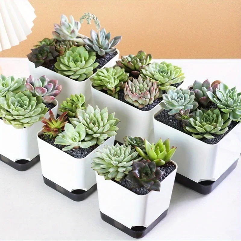 Set of 5 Self-Watering Plant Pots with Drainage and Reservoir Saucer for Indoor and Outdoor Use