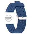 Blue-Silver