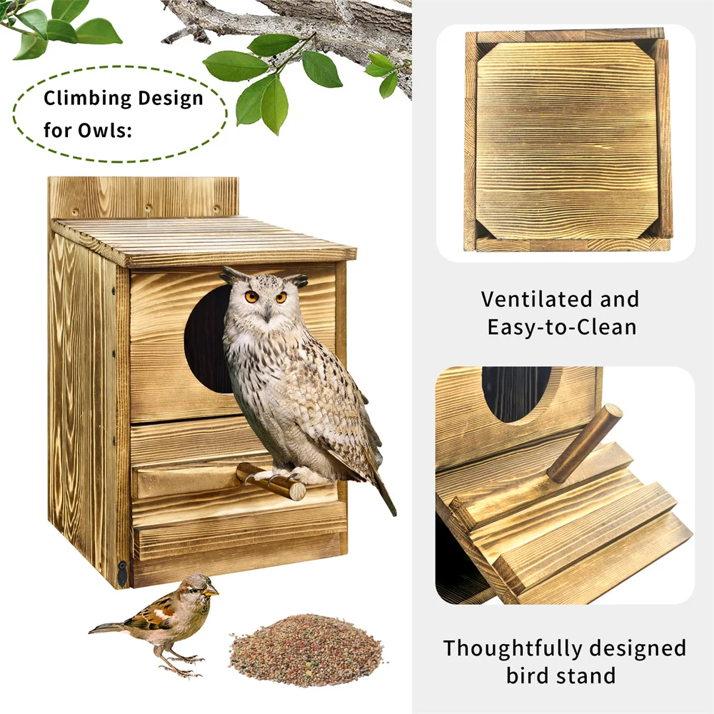 Handmade Bird House 5