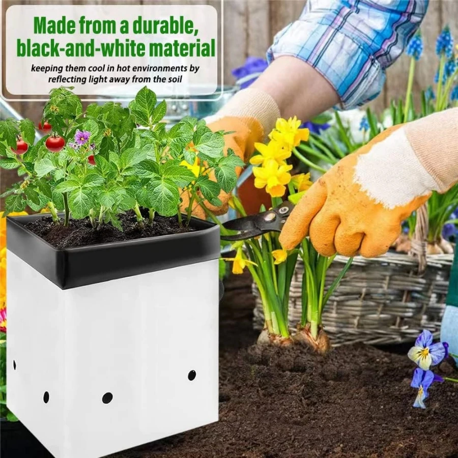 Thick PE Grow Bags for Plants Seedling Nursery, White and Black Film Containers for Potting, Rooting Accessory, 6 Sizes