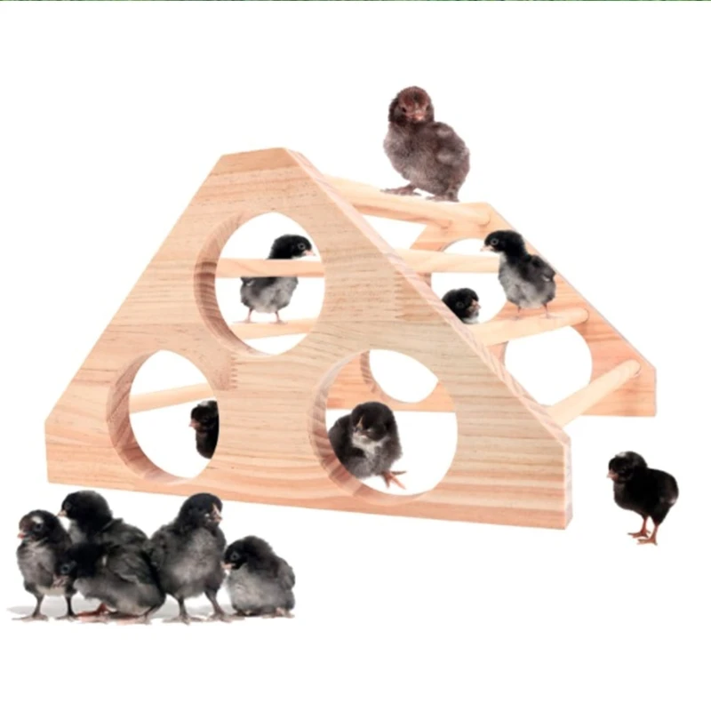 Backyard Chick Perch 5