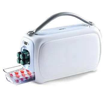 Refrigerador per insulina Frigorifero per farmaci Refrigerazione Tipo C Scatola da esterno portatile Piccola custodia da viaggio Valigia ricaricabile Dispositivo di raffreddamento