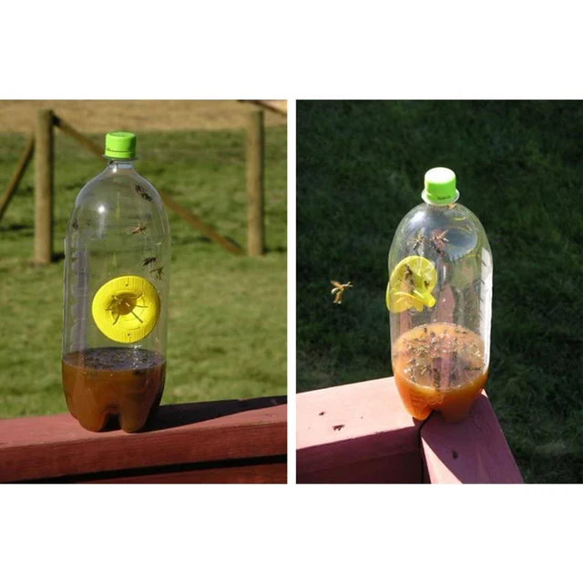 10 db Újrahasznosítható Méhkapitány Virág Alakú Rovarok Tölcsérkártya Wasp Csapda Méhész Otthoni Kerti Méhek Hornetek Fogó - Image 4