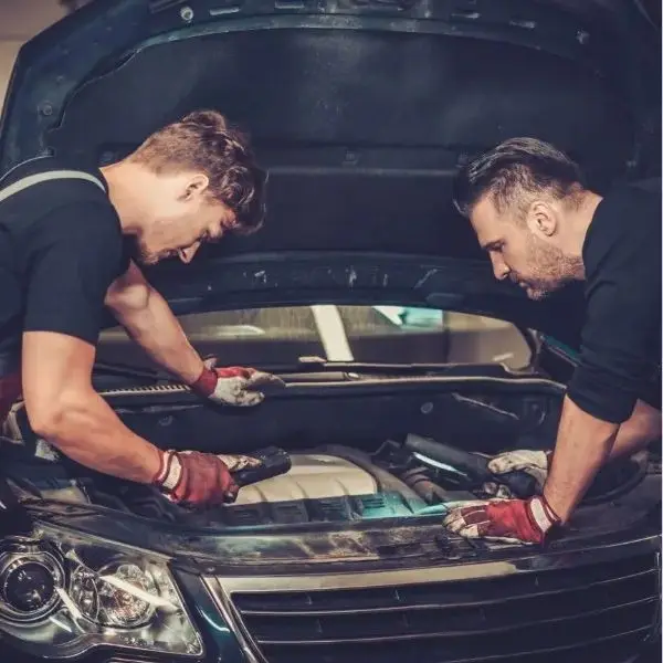 FOXSUR Car Accessories Store