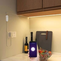 Smart TUYA WiFi COB Strip Light 320LEDs/M RA90 High Lumen 3000K/4000K/6000K Support Alexa Google Home Echo Plus SmartLife APP - Image 2