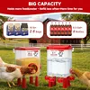 Large Chicken Feeder and Waterer Set 3.1 Gallon/26.4 Pounds, Automatic Chicken Waterer with 4 Cups and 3 Feeder Ports No Waste