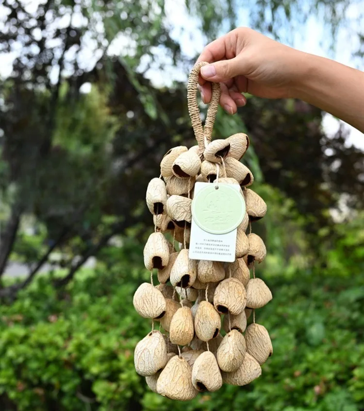 Nutshell Bell Hand Bell Meditation Sound Healing Handbell Natural Plant Indonesian Music Accompaniment Sound Therapy Instrument