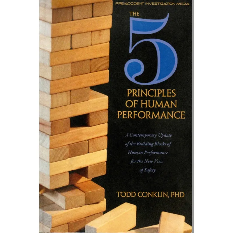 

5. Принципы человеческого представления