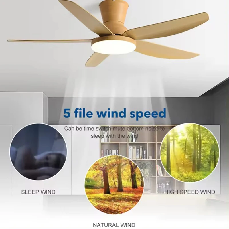 5 ABS Blade Pure Copper DC Motor Ceiling Fan with Light 42 Inch Fan Support Remote Control Ceiling Light with 220V 110V